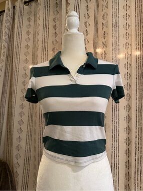 American Eagle Outfitters Green and White Striped Polo Crop Top